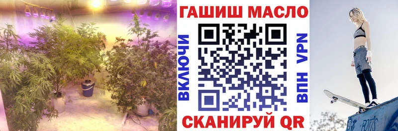 Дистиллят ТГК концентрат  закладка  Отрадный 